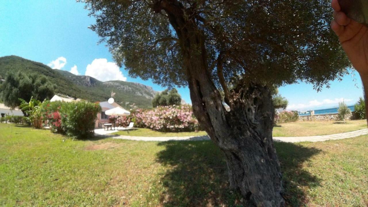 Barbati Beach Holiday Apartment, Corfu,Greece ภายนอก รูปภาพ
